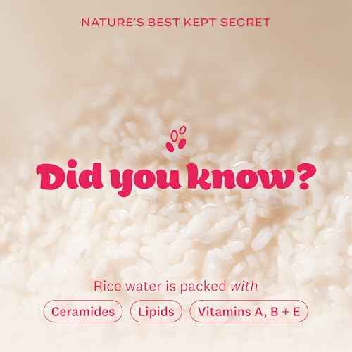 The Face Shop Rice Water Bright Makeup Remover Wipes for Face with Rice Extract, Brightening, Moisturizing, Infused with Cleansing Milk, Vegan Disposable Cleansing Facial Wipes, Korean Skin Care