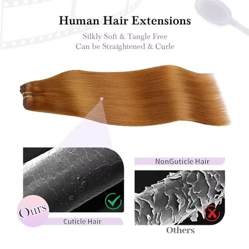 Remy Hair Extensions clip ins Hair Etensions for Women #30 Light Brown Double Weft Natural Hair Extensions Straight 8Pcs Soft and Thick 18inch 90g