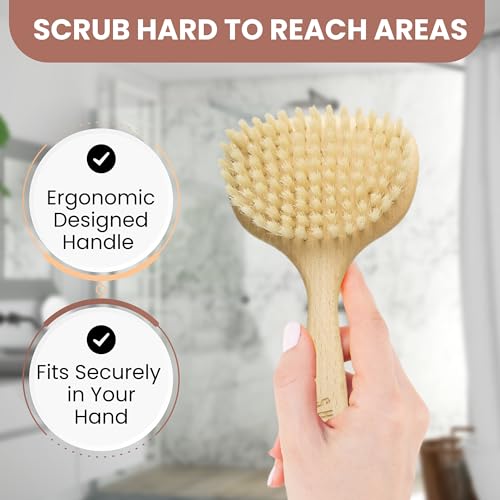 SHASH Since 1869 Hand Made in Germany - Smooth 100% Boar Bristle Body Brush, Gently Exfoliates Skin for a Softer, Smoother Complexion, Dry Brush Body Scrubber Promotes Circulation for a Healthy Glow