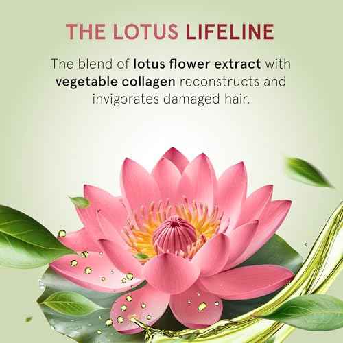Inoar R?sistance Flor de Lotus Shampoo & Conditioner Kit with Lotus Flower Extract & Plant-Based Collagen for Hair Strengthening & Shine, 33.8 fl.oz Each