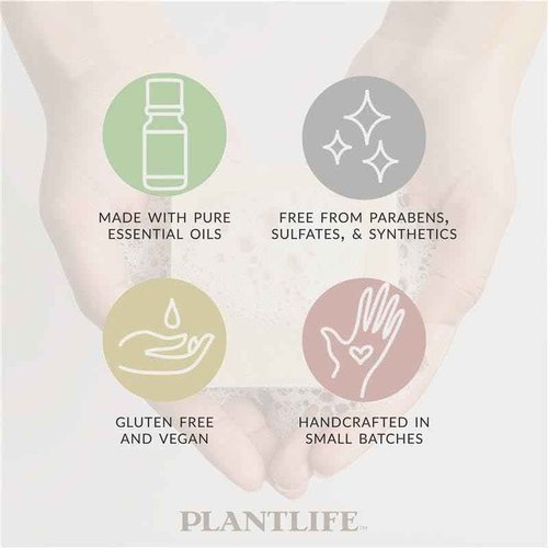 Plantlife Pumpkin Spice 3-pack Bar Soap - Moisturizing and Soothing Soap for Your Skin - Hand Crafted Using Plant-Based Ingredients - Made in California 4 oz Bar