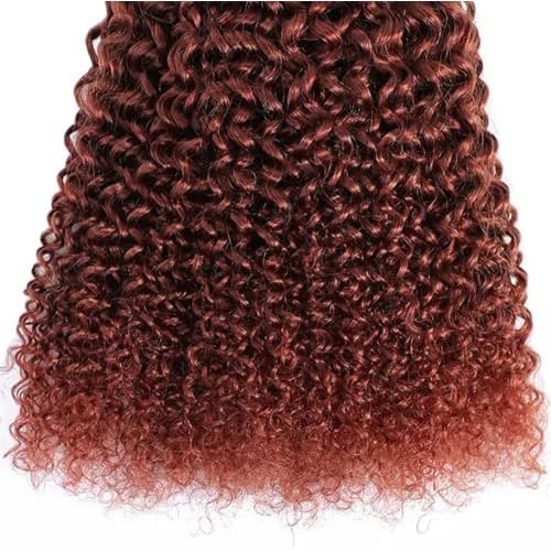 Reddish Brown Kinky Curly Bundles Human Hair Auburn Bundles 20 22 24 Inch Double Weft Color 33 Human Hair Weave Extensions Copper Brown Curly Bundle