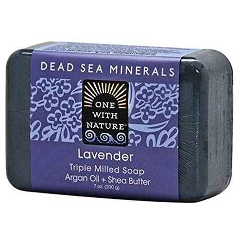 3B Scientific E12 Desktop Ear Model 1.5x life size - 3B Smart Anatomy