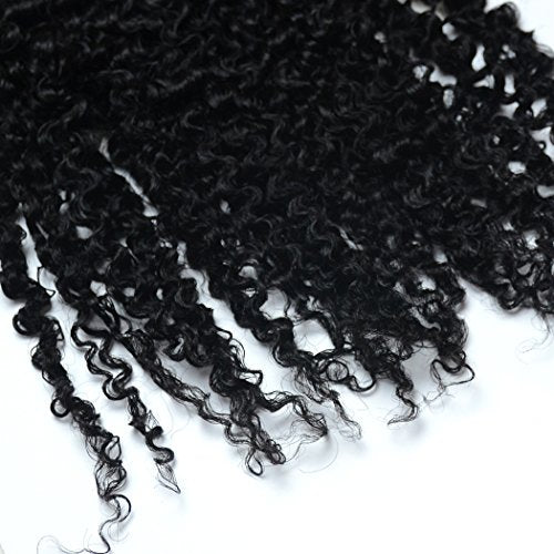 Luwigs 3B 3C Afro Kinky Curly Clip In Hair Extension Natural Color African American Brazilian Human Virgin Hair For Black Women 7pcs/set (20 Inch, 3B 3C Afro Kinky Curly)