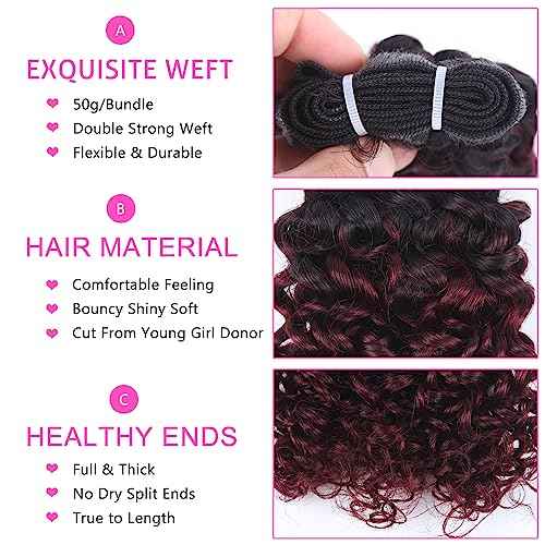 1b/99j Curly Human Hair Bundles and Closure(10 10 10+10) Kinky Curly Bundles Human Hair Brazilian Virgin Ombre 99j Burgundy Red Human Hair 3 Bundles with 4x4 Closure 50 Gram/Bundle