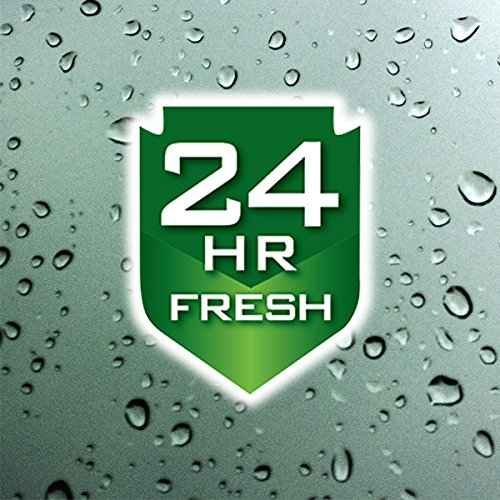 Irish Spring Body Wash Pump, Original, 32 fluid ounce