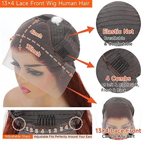 Avolo Reddish Brown Lace Front Wigs Human Hair Pre Plucked 13x4 Auburn Colored Human Hair Lace Front Wigs Body Wave Glueless Wigs Human Hair HD Lace Frontal Human Hair Wig 22 Inch
