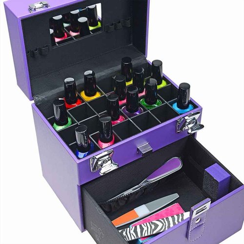 SHANY Color Matters - Makeup Travel Case Nail Accessories Organizer and Makeup Train Case - Makeup Storage Box - Violet Dynasty