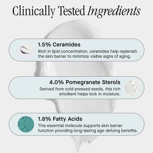 Brandefy Tri Lipid Replenish Treatment - 1.5% Ceramides, 4.0% Sterols, 1.8% Fatty Acids - Peptide Moisturizer, Hydrating Face Cream, Made in the USA (1.6 Oz)