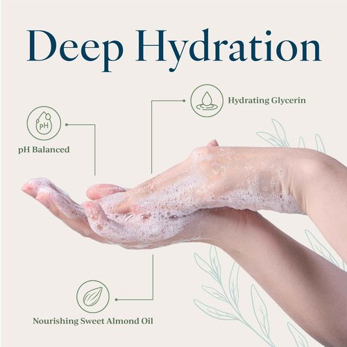 Provence Sante Natural Liquid Soap - Moisturizing Almond Oil Hand Soap with Lemon Vervain Scent - Elegant Pump Dispenser for Kitchen & Bath (16.9 oz)