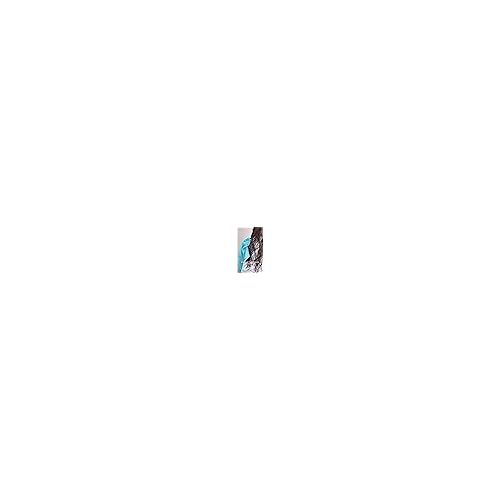 Moroccanoil Color Depositing Mask Clear