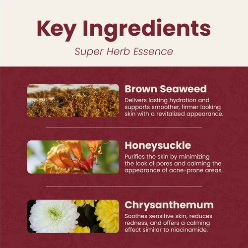 Super Herb Essence - Hydrating Face Moisturizer with Hyaluronic Acid & Rosehip Extract - Lightweight, Fast-Absorbing Serum-Essence Hybrid for Oily & Acne-Prone Skin - 1oz