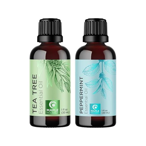 https://ssl.hakyungsoft.com/himg/Url/link/anRlbWdsb2JhbA%3D%3D/123562/600/f.jpg