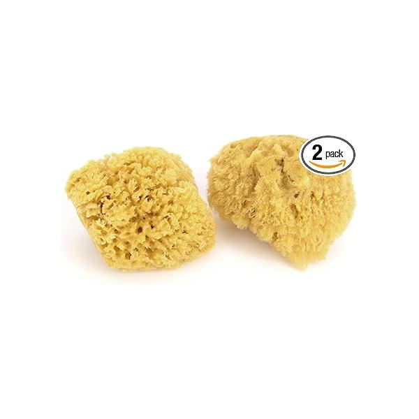 https://ssl.hakyungsoft.com/himg/Url/link/anRlbWdsb2JhbA%3D%3D/164197/600/f.jpg