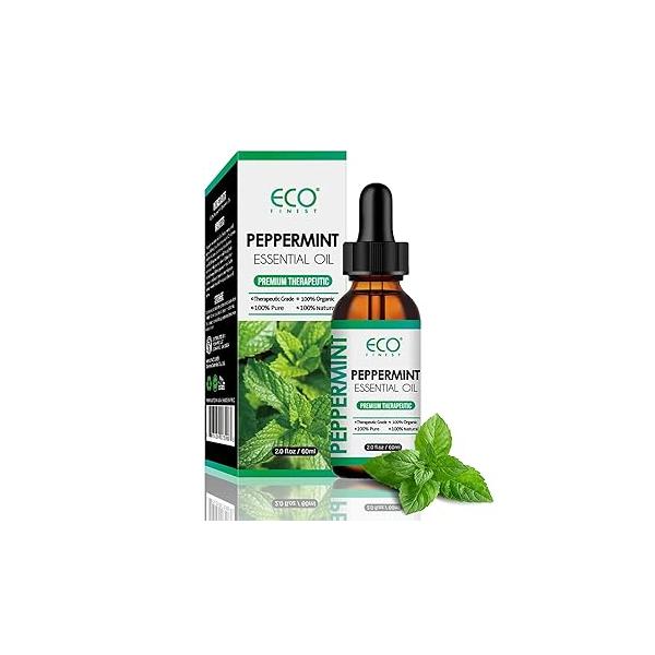 https://ssl.hakyungsoft.com/himg/Url/link/anRlbWdsb2JhbA%3D%3D/123188/600/f.jpg
