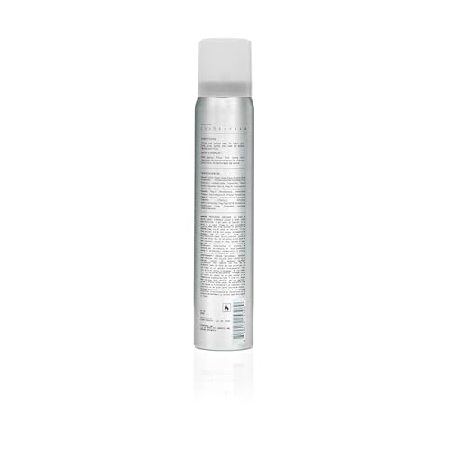 Fatboy Hair Spray Putty, Heavy Hold Styling Texturizing Spray for Volume, Texture & Sculpting, Matte Finish, Hair Care for Medium to Thick Hair, Tousled Hair Style, Paraben Free, Color Safe, 3.5 oz