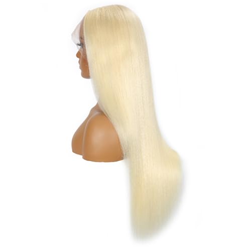 613 13x6 Lace Front Wig Human Hair 200 Density Blonde Wig Human Hair 613 HD Lace Frontal Wigs Pre Plucked 613 Human Hair Wig (18 Inch)