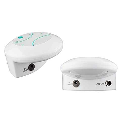 Ionic Foot Detox Machine, Foot Spa Bath for Home Use, Foot Cleaner Machine, Ionic Foot Bath Machine, Ionic Detox Foot Spa for Home Use Spa Club Salon, Ionic Foot Bath Machine (US)
