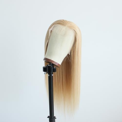 Pre-plucked #27 Honey Blonde 13X4 Lace Front Wigs Straight Glueless 150% Density Brazilian Virgin Human Hair (27 Frontal Wig, 10 INCH)