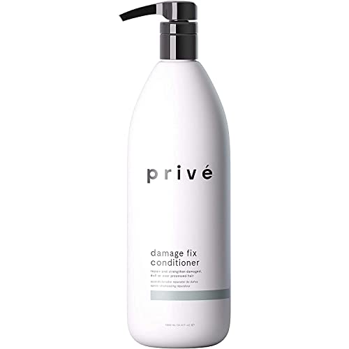 Prive Damage Fix Conditioner - Repairs Dry and Over-Processed Hair From Within Protects Future Additional
