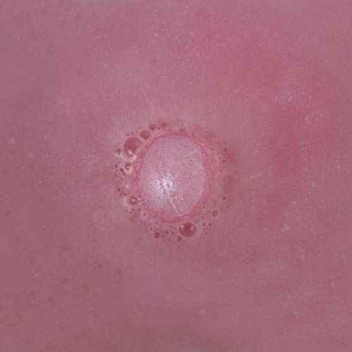 Gift Republic Ros? Scented Bath Bombs Pink Sparkly Mini Fizzies Pampering for Women Mother's Day Birthday Teachers Christmas Pack of 10