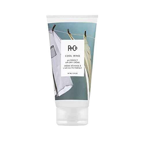 R+Co Cool Wind pH Perfect Air Dry Hair Cream | Hydrates + Tames + Softens | Vegan + Cruelty-Free |
