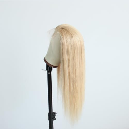 Pre-plucked #27 Honey Blonde 13X4 Lace Front Wigs Straight Glueless 150% Density Brazilian Virgin Human Hair (27 Frontal Wig, 10 INCH)