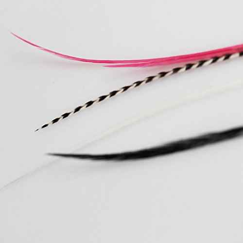 5 Red,black,white & Grizzly Remix 8"-11" Feathers Bonded Together At the Tip to Make One Extension