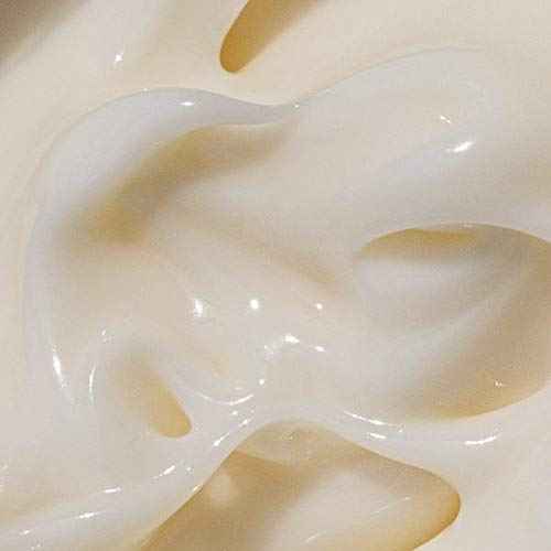 Cosmic Cream by Moon Juice - Vegan Collagen Protecting Moisturizer - Adaptogenic Dewy Face Lotion with Ashwagandha, Emollient Fatty Acids & Mushroom - Clean, Cruelty-Free & Sustainably-Sourced (1.7oz)