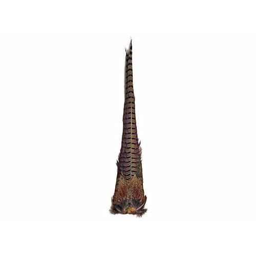 Moonlight Feather | 1 Tail - Natural Brown Complete Ringneck Pheasant Feather Tail Clump Halloween Fly Tying