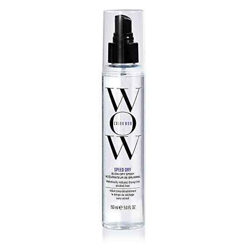 COLOR WOW Speed Dry Blow Dry Spray ? Cut Blow Dry Time by 30% | Heat Protectant, Prevent Breakage | Cruelty-Free & Gluten-Free