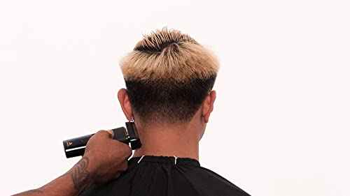 Andis 42400 inLINER All-in-One Trim & Shave Hair Trimmer and Foil Shaver Kit, Silver