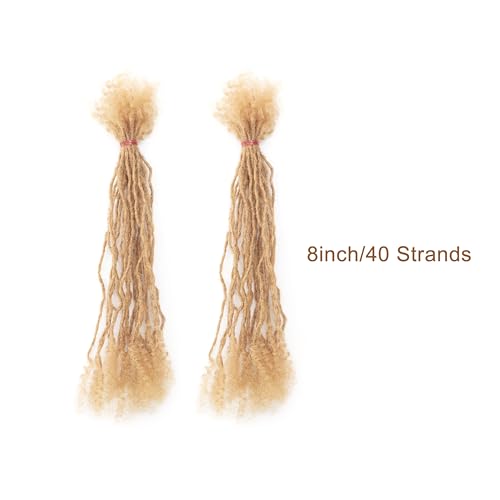 EV&ET Micro Locs Extesnions Human Hair 0.2cm Thickness Sisterlocks Curly Tips, Full Handmade Interlocking Permanent Soft Dreadlock Extensions Natural Looking Locs (#27 40pieces, 8inch 0.2cm)