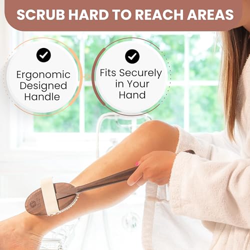 Shash Made in Germany Since 1869 - Frist Cut 100% Boar Bristle Body Brush, Gently Exfoliates Skin for a Softer, Smoother Complexion, Dry Brush Body Scrubber Promote Circulation for a Healthy Glow