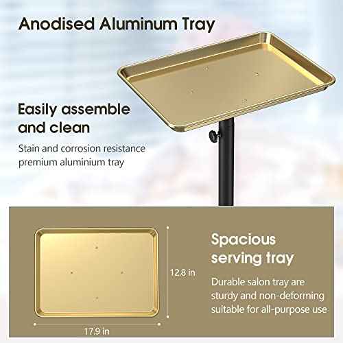 Salon Tray Tattoo Tray Salon Cart for Hair Stylist Salon Trolley Cart with Wheels Salon Rolling Tray Salon Stations Gold Color Tray