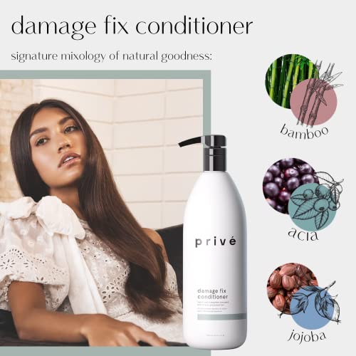 Prive Damage Fix Conditioner - Repairs Dry and Over-Processed Hair From Within Protects Future Additional