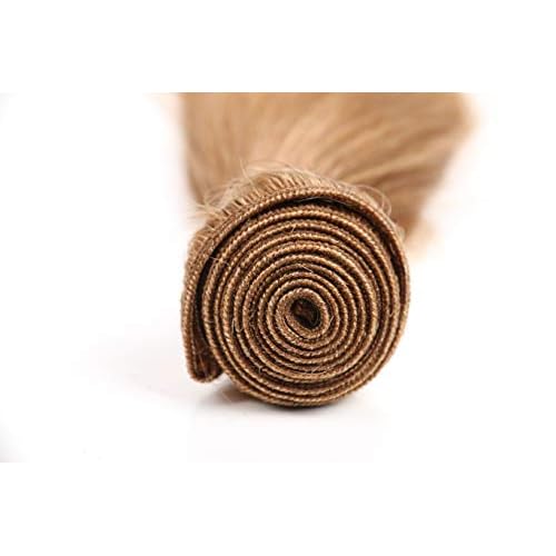 X-TRESS Honey Blone Bundle Human Hair Color #27 Hair Weave Straight for Women 100% Brazilian Virgin Remy Hair in Hair Extension Human Hair Weave Daily Use (24 Inch)