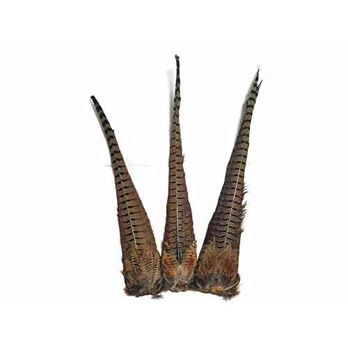 Moonlight Feather | 1 Tail - Natural Brown Complete Ringneck Pheasant Feather Tail Clump Halloween Fly Tying