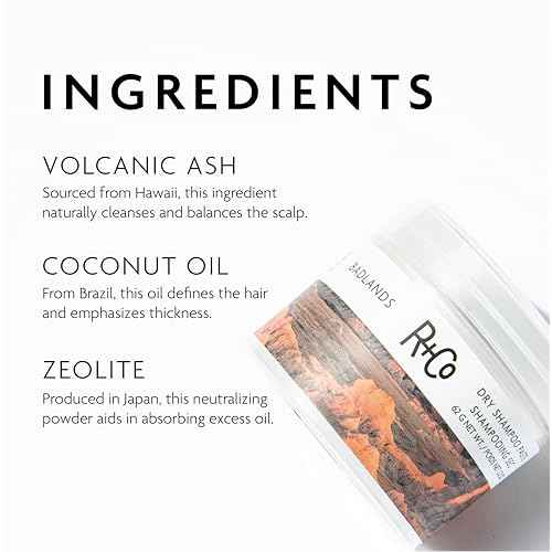 R+Co Badlands Dry Shampoo Paste | Adds Texture & Absorbs Oil with Matte Finish | Vegan + Cruelty-Free | 2.2oz
