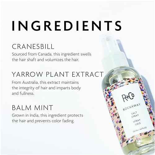 R+Co Rockaway Salt Spray, Adds Volume and Hair Texture