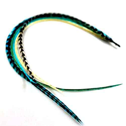 Feather Hair Extension ? Turquoise and Grizzly Feathers, All Bonded Together at the Tip, Ranging From 7 to 10 Inches in Length, With a Total of 5 Feathers