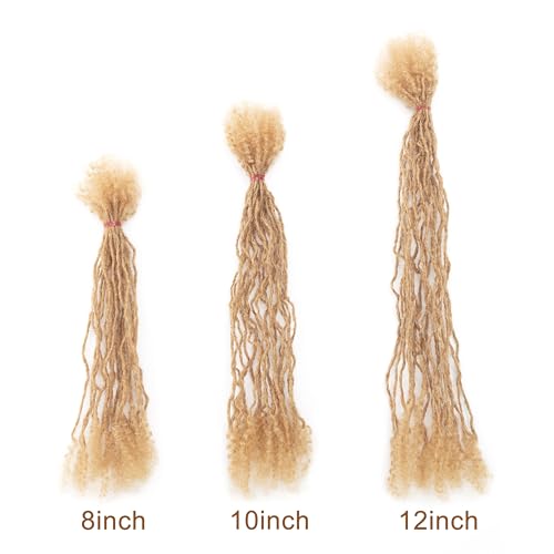 EV&ET Micro Locs Extesnions Human Hair 0.2cm Thickness Sisterlocks Curly Tips, Full Handmade Interlocking Permanent Soft Dreadlock Extensions Natural Looking Locs (#27 40pieces, 8inch 0.2cm)