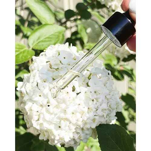NADIA NAD+ Power Serum for Face, Neck & D?collet? ? Anti-Aging, Hydrating Skin Serum ? 15 ml / 0.5 fl oz (Made in USA)