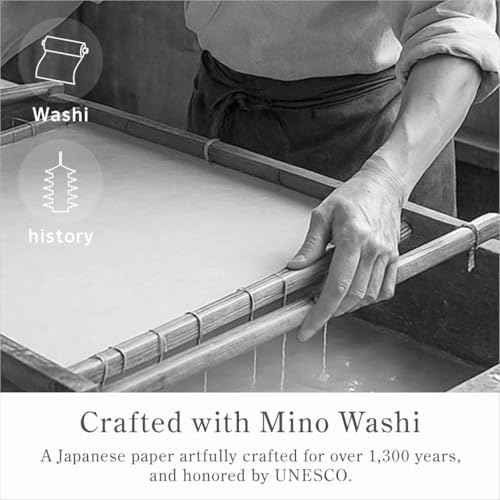 Oil Blotting Paper 100 Sheets,pack of 1 ? Natural Black Charcoal Facial Tissues with Premium Washi Japanese Paper, Portable Easy Dispensing, Made in Japan, Skin-Care & Makeup Essential