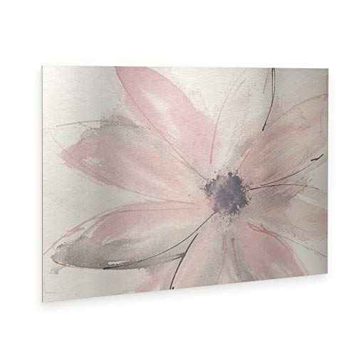 Trademark Fine Art ' Blush Clematis I ' Floating Brushed Aluminum Art by Chris Paschke 16x22