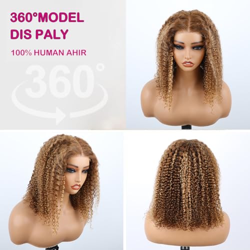 14 inch Kinkycurly Wear and Go Glueless Wig Ombre Highlight 4/27 Wigs Pre Cut Transparent Lace Wig human hair Pre Plucked,Natural Hairline for Women 200% Density