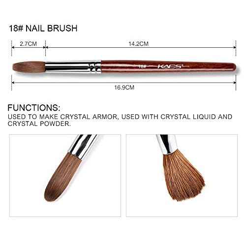 Natasha Denona Mini Nude Eyeshadow Palette Kit - Eyeshadow Palette + Round Eyeshadow Blending Brush. Bonus Premium Korean Sheet Masque with Collagen