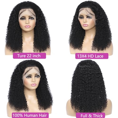 13x4 Deep Wave Lace Front Wigs Human Hair Pre Plucked 180% Density 9A Glueless Wigs Human Hair Wet and Wavy Wigs for Women HD Transparent Deep Curly Lace Front Wigs Human Hair 22 Inch