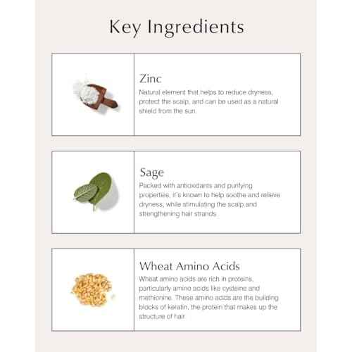 John Masters Organics Scalp Conditioning Shampoo 16 oz |70%+ Organic Ingredients |Anti-Dandruff | Dry Scalp