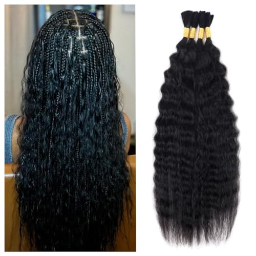 Wet and Wavy Human Braiding Hair Super Wave Bulk Human Hair For Braiding No Weft 100g (1Pack-4PCS) Super French Human Braiding Hair For Boho Braids (Super Wave£¨#1b£©, 22 Inch)